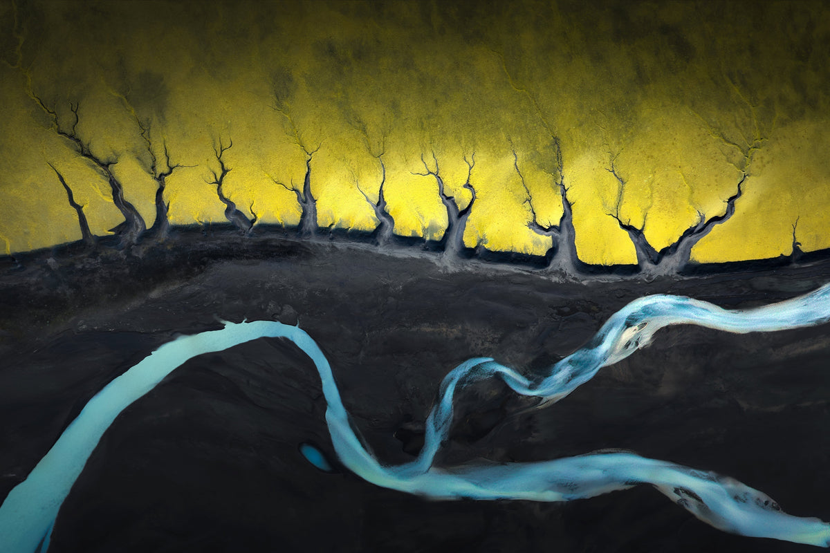 Behind the print — Forest Reborn