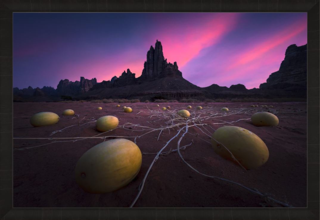 Main image Alien Eggs — Limited Edition Fine Art Print