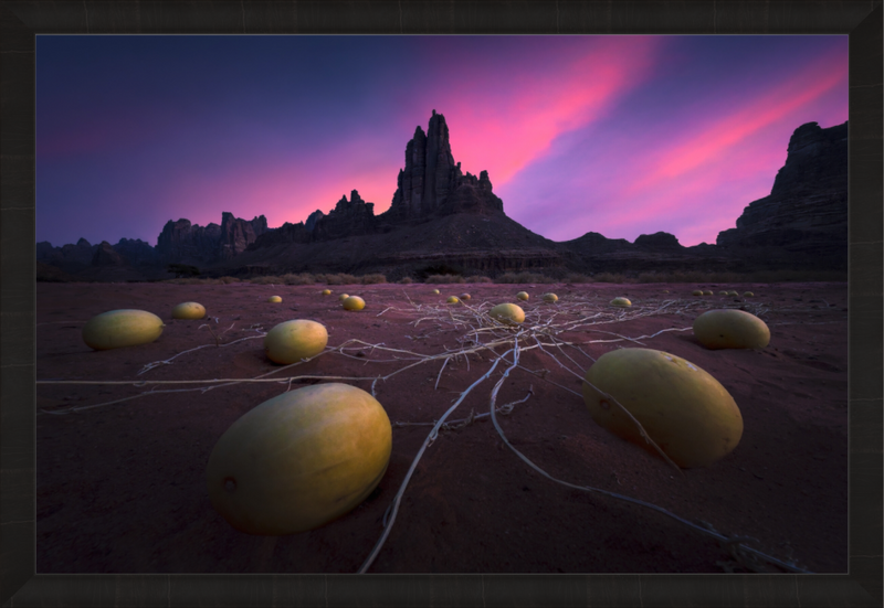 Main image Alien Eggs — Limited Edition Fine Art Print