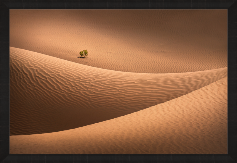 Main image Lungs Of Our Earth — Exclusive Limited Edition Fine Art Print