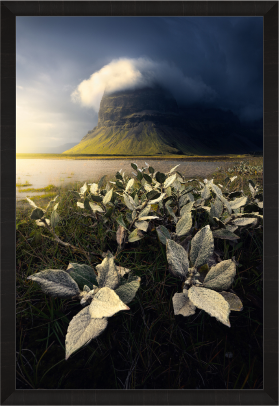 Main image Alien Mountain — Limited Edition Fine Art Print