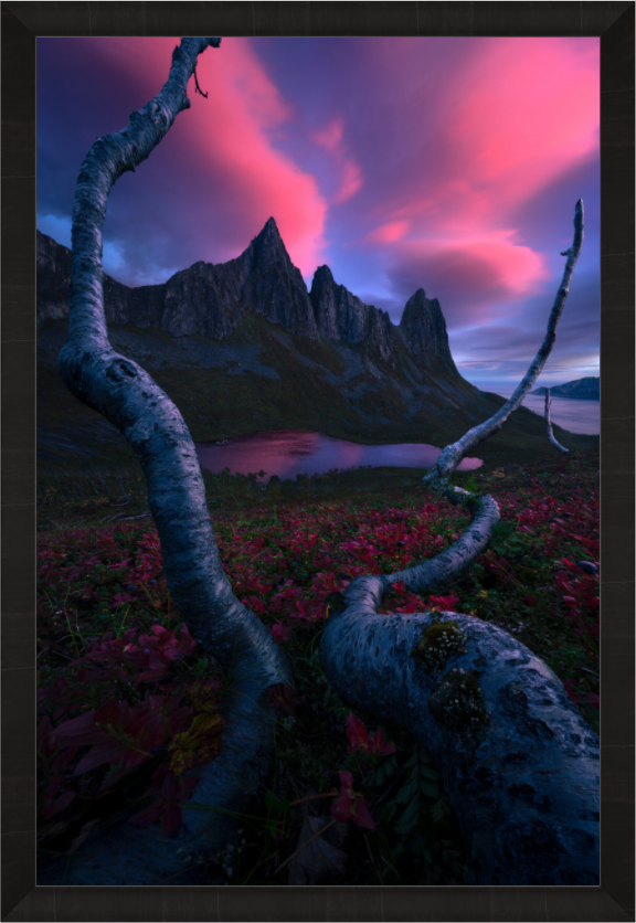 Main image The Red Kingdom — Exclusive Limited Edition Fine Art Print