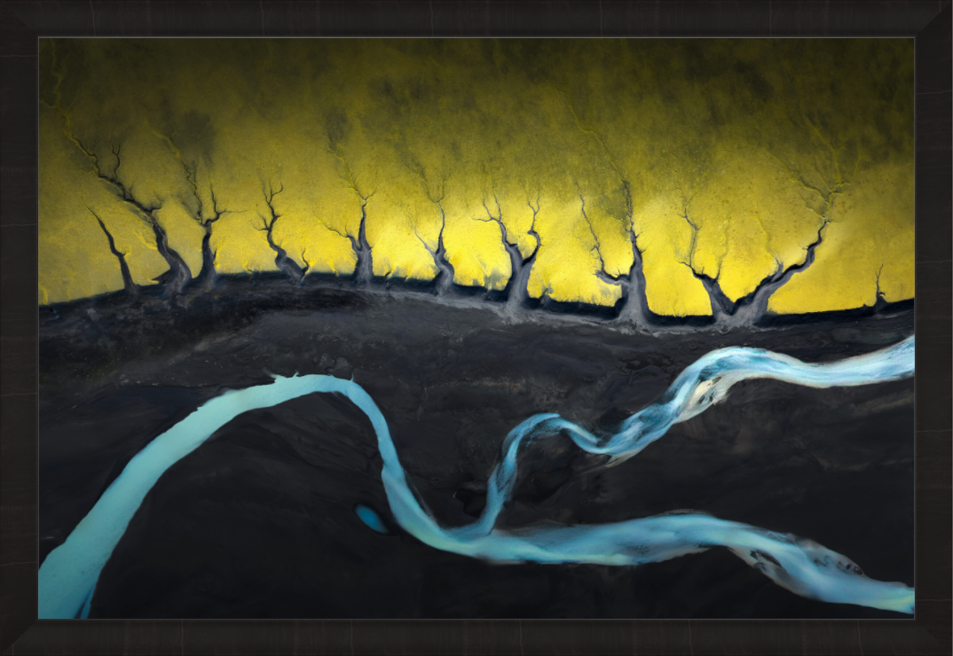 Main image Forest Reborn — Exclusive Limited Edition Fine Art Print