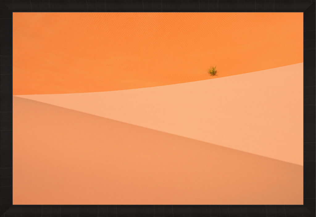 Main image The Flag — Limited Edition Fine Art Print