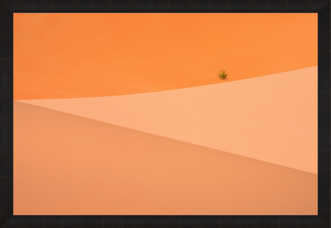 Main image The Flag — Limited Edition Fine Art Print