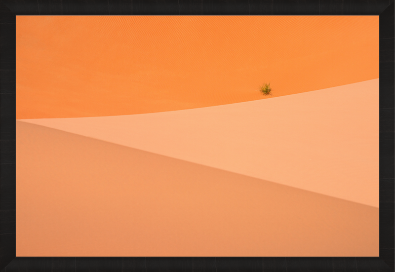 Main image The Flag — Limited Edition Fine Art Print