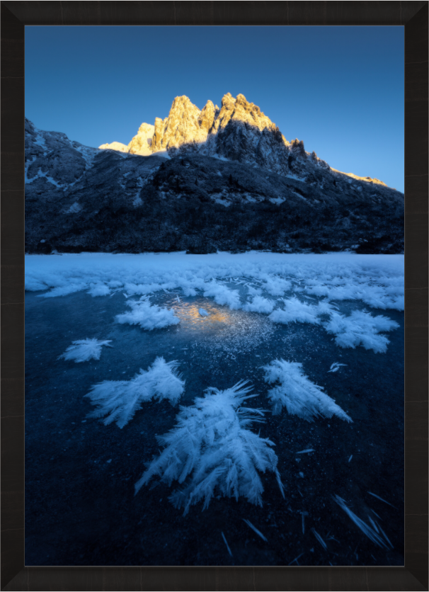 Main image Ice Bouquet — Limited Edition Fine Art Print