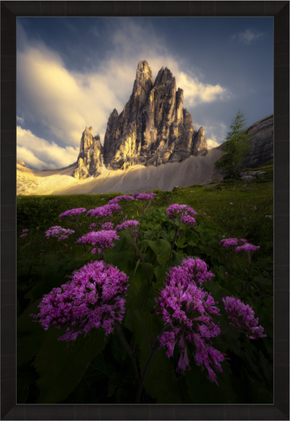Main image Alpine Meadow — Limited Edition Fine Art Print