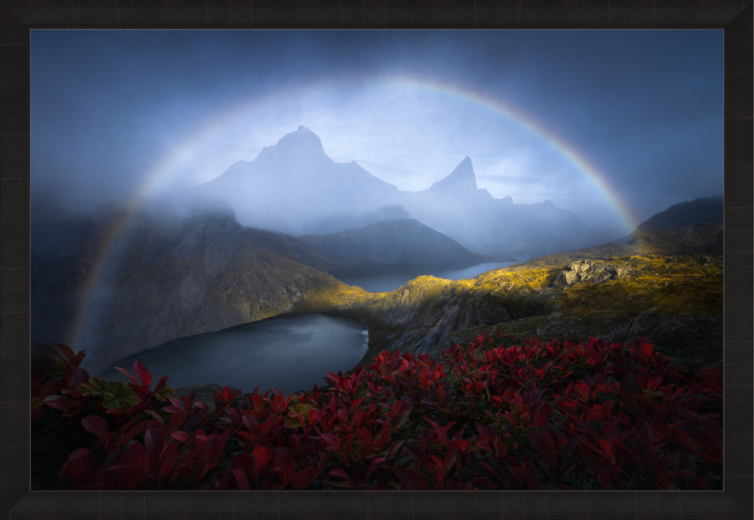 Main image Into the Wild