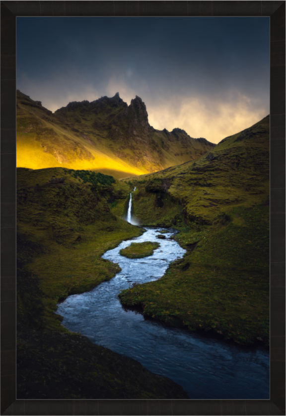 Main image The Rhino — Limited Edition Fine Art Print