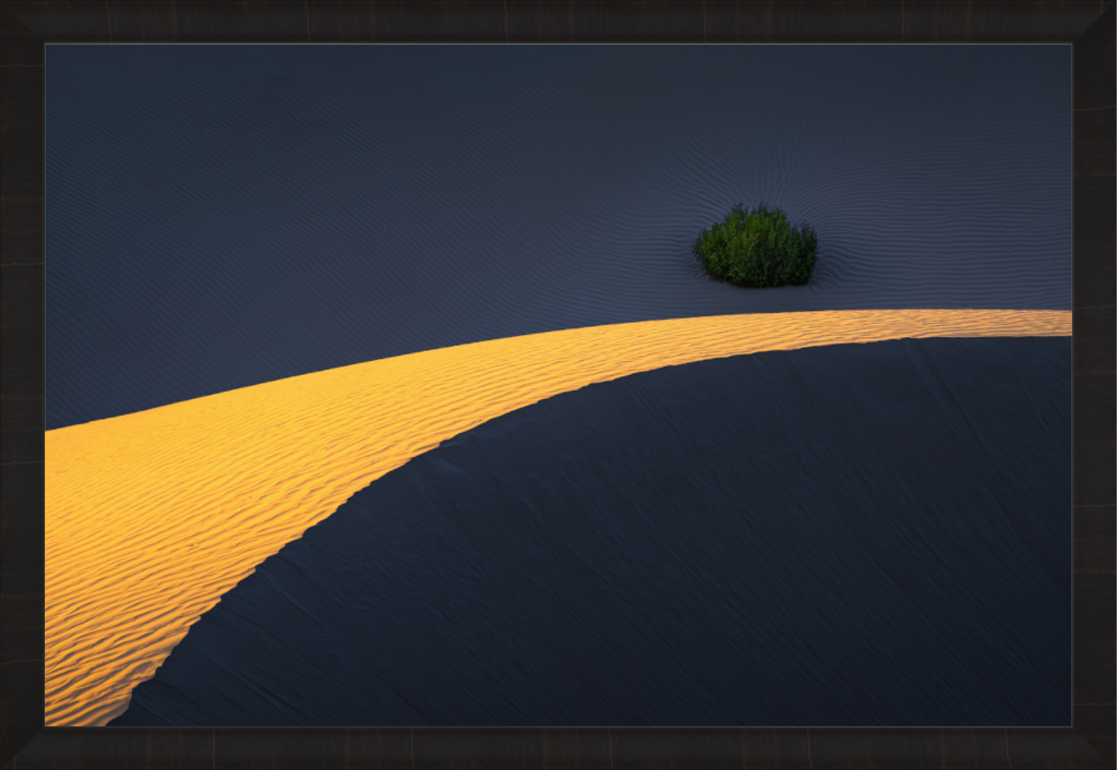 Main image Golden Ring — Limited Edition Fine Art Print