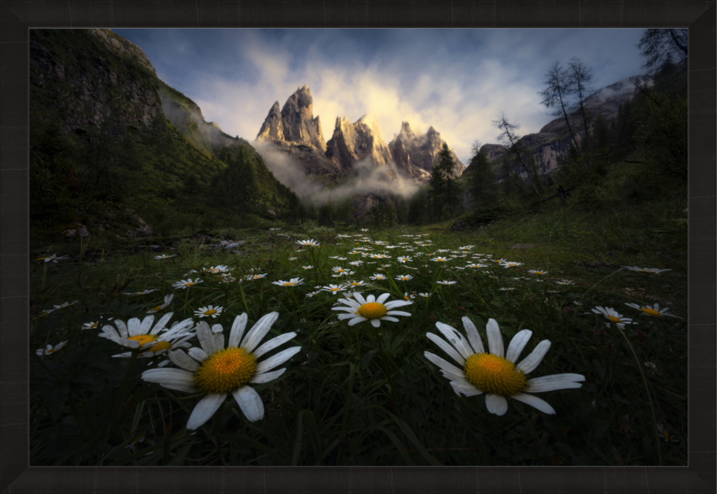 Main image Awakening — Limited Edition Fine Art Print