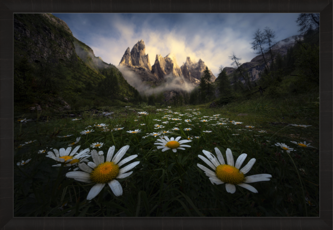 Main image Awakening — Limited Edition Fine Art Print