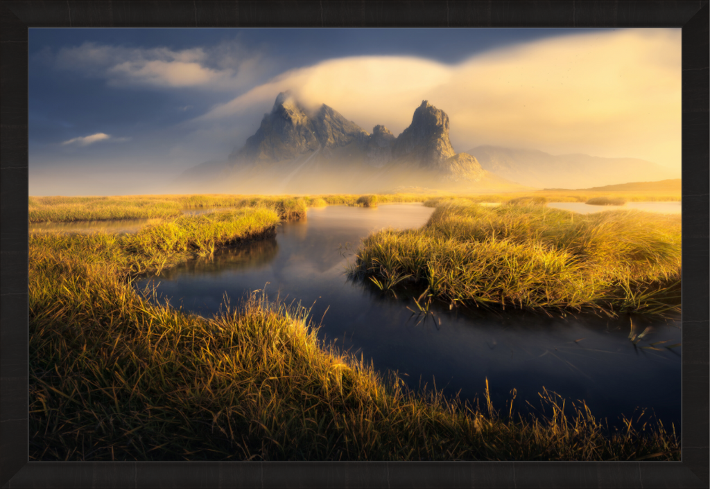 Main image The Gold — Limited Edition Fine Art Print